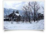 Manali