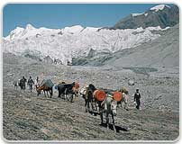 Lamayuru to Alchi or Ulleytokkpo