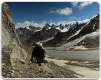 Dharma Dragonal trek Zanskar